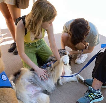 Screen Shot 2022-10-03 at 12.23.08 PM.png