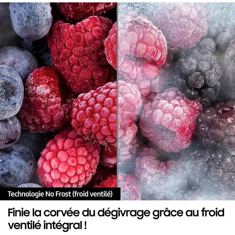 Miniature : Réfrigérateur multi portes SAMSUNG RF24BB620EB1