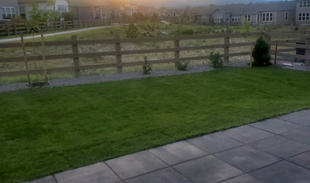 Sod, Pavers and Fence