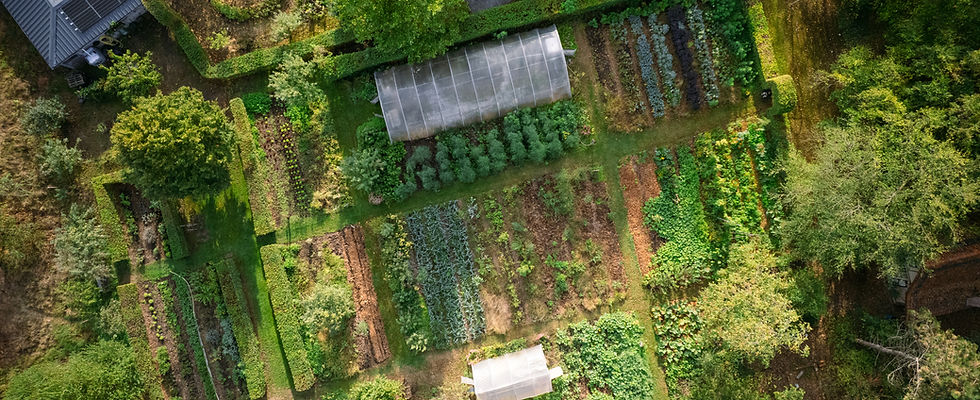 Grondgenoten-drone1 - moestuin bovenaanzicht.jpg