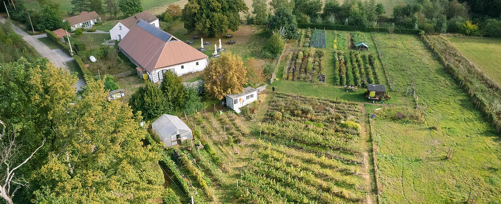 Grondgenoten-drone3 _ Wouwershoeve.jpg