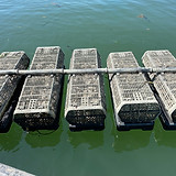 IMG_0413.jpeg