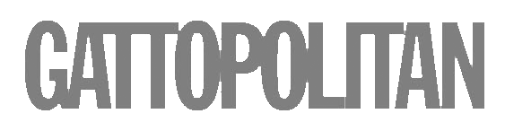logo gatto gif.gif