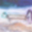 17879887867799592_edited_edited_edited_edited.jpg