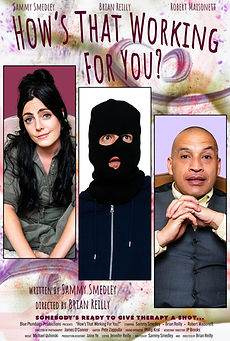 HowsThatWorkingForYou_poster.jpg