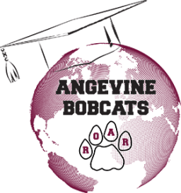 Angevine MS Logo.webp