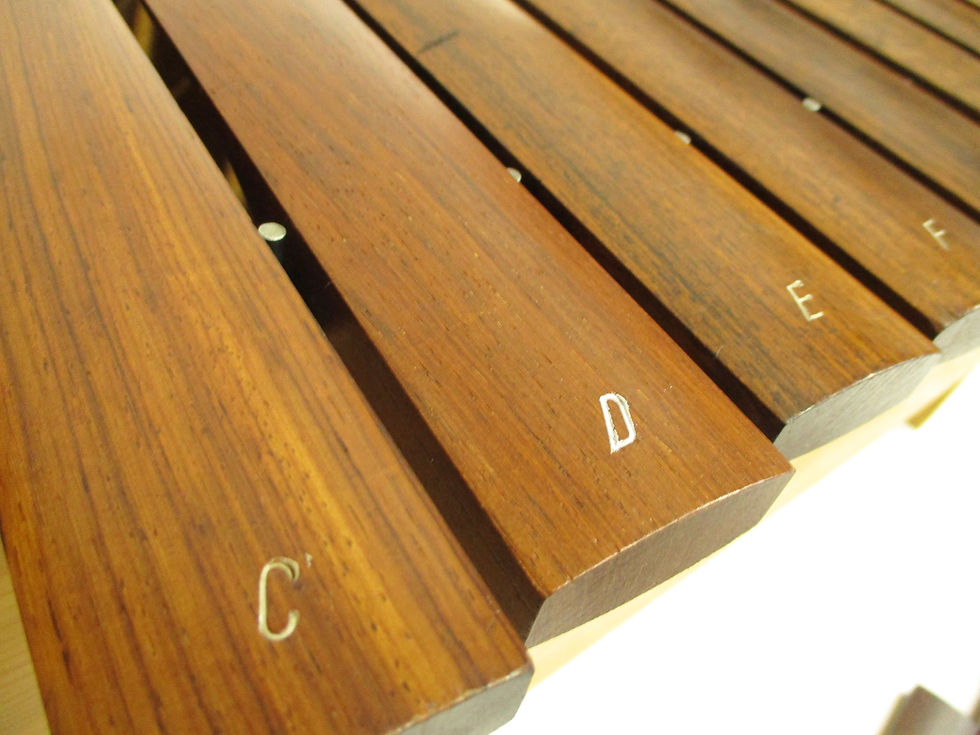Thumbnail: Studio 49- Bass Xylophone