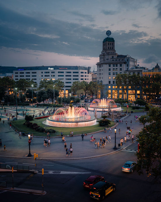 © Heath Rasmussen plaza cat.JPG