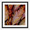Thumbnail: Feathers