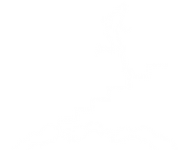 business analytics and consultancy devon