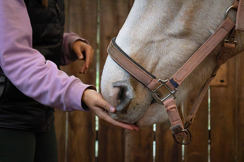 IMG_1085-DxO_DeepPRIME 3.JPG