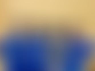 【全国大会準決勝敗退】