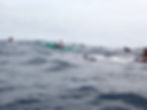 John, Carmen and Barry on the wider line out to sea. Photo Dave Linco