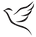 dove (2)_edited.png