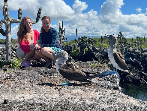 Tormey Ecuador blue footed booby.jpg