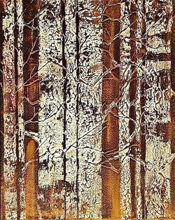 Brilliant Birches