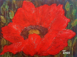 Red Poppy