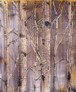 Birch Trees