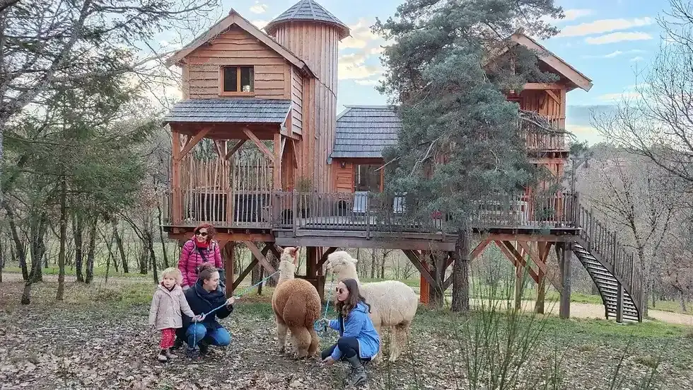 Le succès des Cabanes Châteaux dans l'offre d'hébergements insolites -  Cabanes Château Peydébé & Spa
