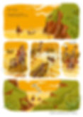 PAGE14.jpg