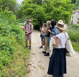 Herb foraging