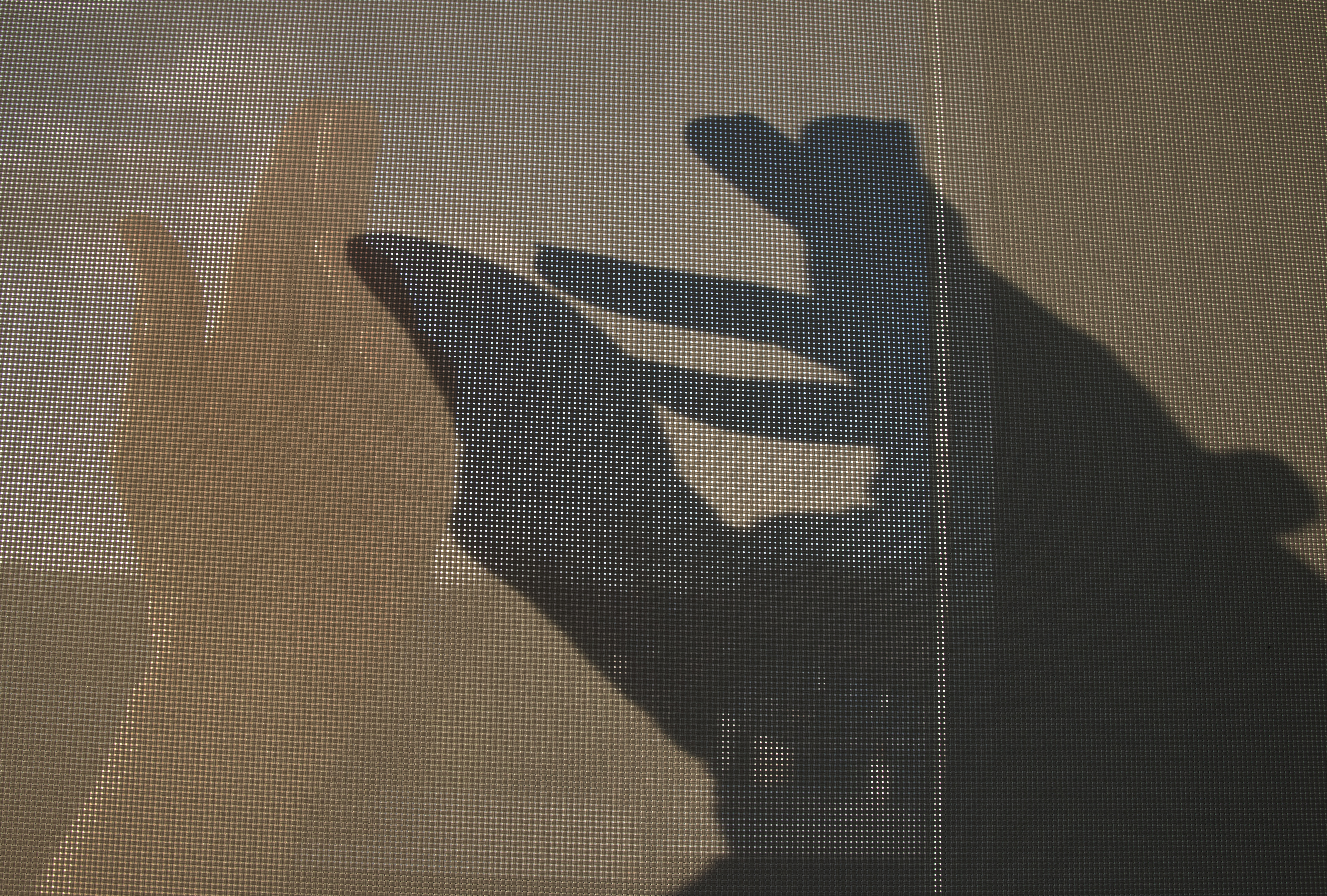 the shadow you cast the shadow you cast