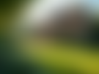 Comprehensive Solutions for Property Maintenance