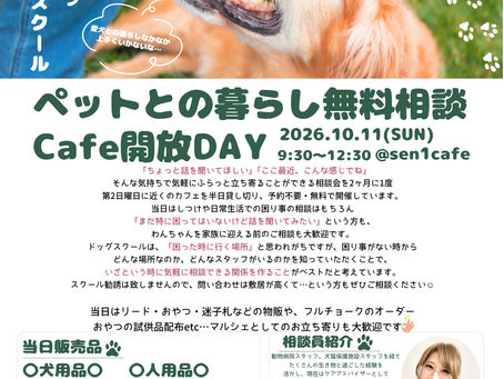 2026.10.11 無料相談会のお知らせ