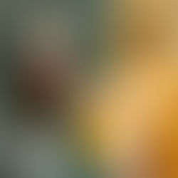 A Massagem e a Aromaterapia ajudam a fortalecer o sistema imunológico e promover a saúde.