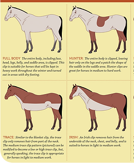 clippingchart-sept2012_edited.png