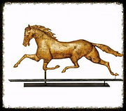 Horse Care