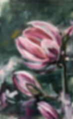 expressive acrylic painting of pink magnolias against a dark green background. Features loose brushstrokes.