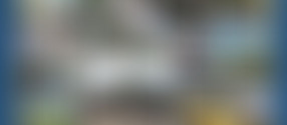 Cr. Jason Bartels Report Card 2016-2024