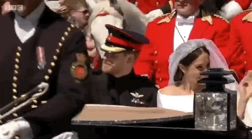 giphy (3).gif