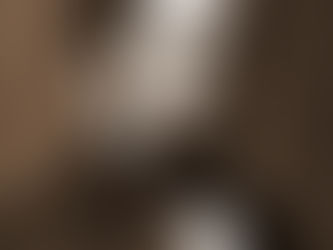 Frémont Turns Back: May 8, 1846