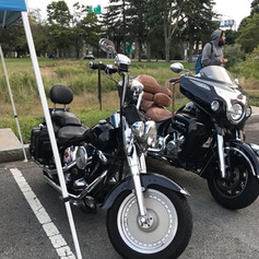 IMG_1704.jpeg