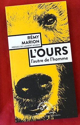 Rémy Marion Actes sud livre ours brun mondes sauvages