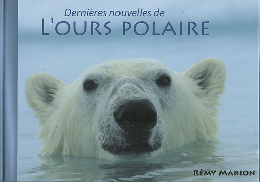 Livre Dernieres nouvelles ours polaire Rémy Marion