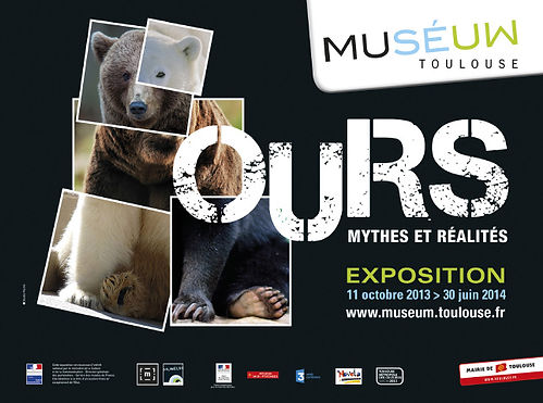 consultant exposition ours muséum Toulouse
