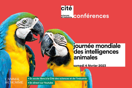 Cité des sciences : les intelligences animales