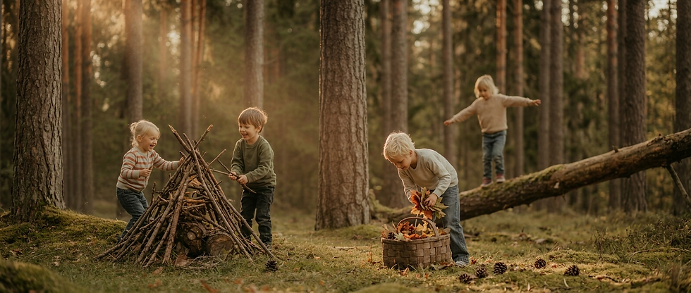 Abenteuer im Wald