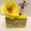 Thumbnail: Tooth Fairy Box