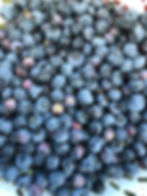 Blueberries