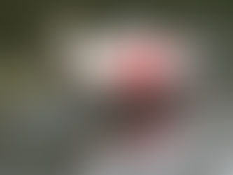 FIELD TRIP REPORT CELERY FIELDS 1/20/18