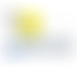 SEPTEMBER MEETING – Dr. Ken Meyer, Swallow-tailed Kite Program