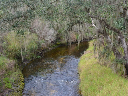 FIELD TRIP – Paynes Creek Historic State Park