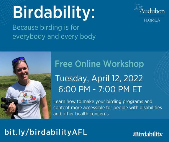 Birdability Workshop