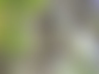 Audubon Night Walkabout October 3. 2017 “CHANGE OF LOCATION!!”