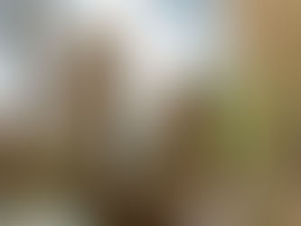 PRAS Meeting – Thursday, May 18 with Eileen Gerle about “Owls”