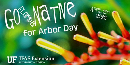 FL Go Native